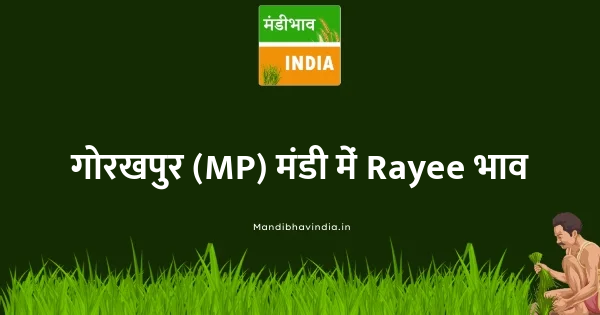 Rayee भाव